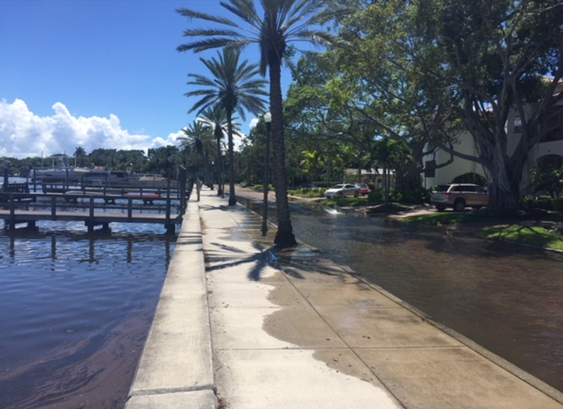 Flooding on street in Dauphin Island Alabama